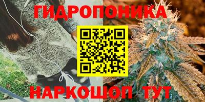 СК Севастополь