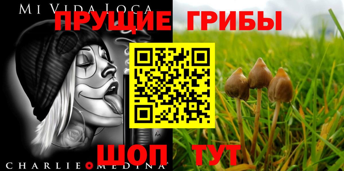 Псилоцибиновые грибы MAGIC MUSHROOMS  Вход с VPN  Надым 