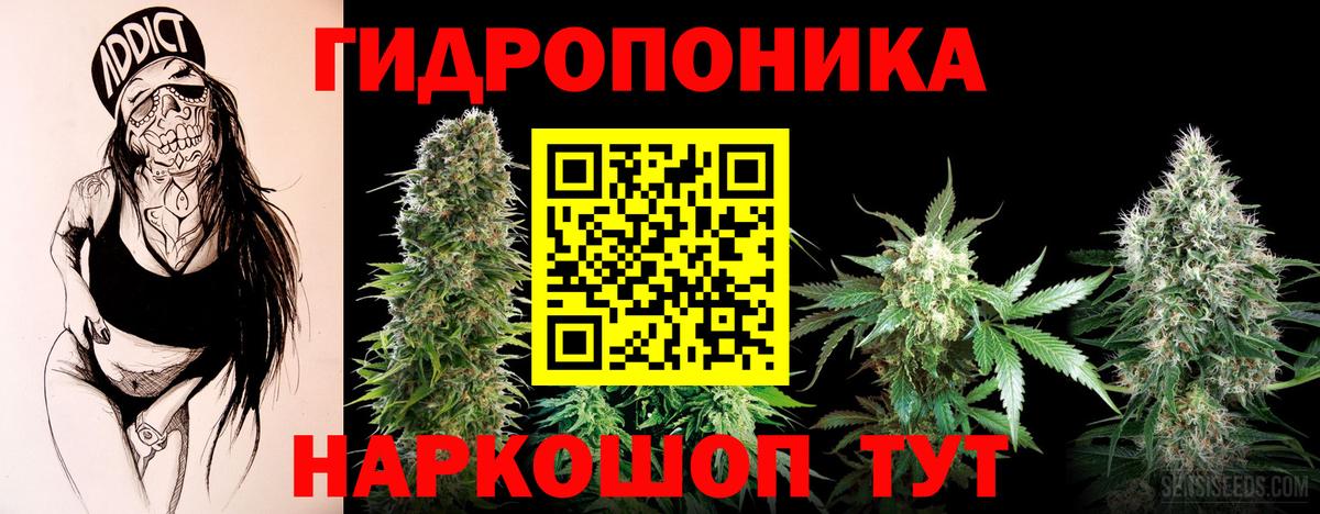 Канабис ГИДРОПОН Надым